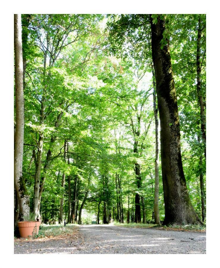 La Maison Du Parc Argilly ภายนอก รูปภาพ